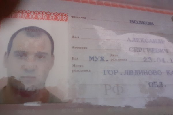 Ссылка на кракен в тор браузере