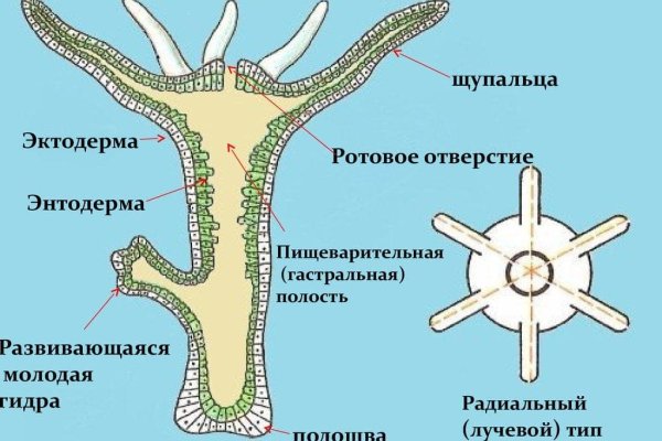 Что такое кракен сайт в россии