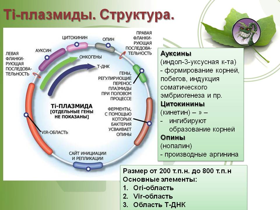 Kraken ссылка tor официальный сайт