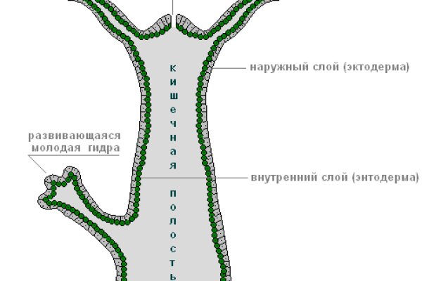 Как пополнить кошелек на кракене