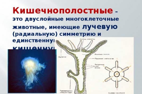 Почему не закрыт сайт кракен